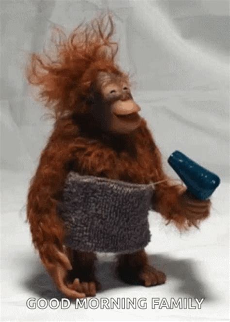 hair gif|funny hair gif.